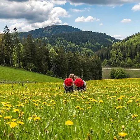 Ferien Im Tannenhof 1, In Der Eltern-kind-fachklinik Tannenhof In * Todtnauberg